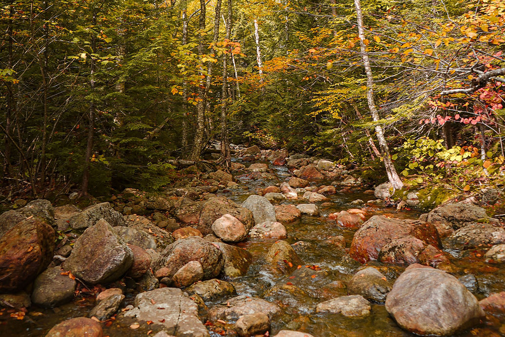 Fall Scenic Landscape at Wildcat