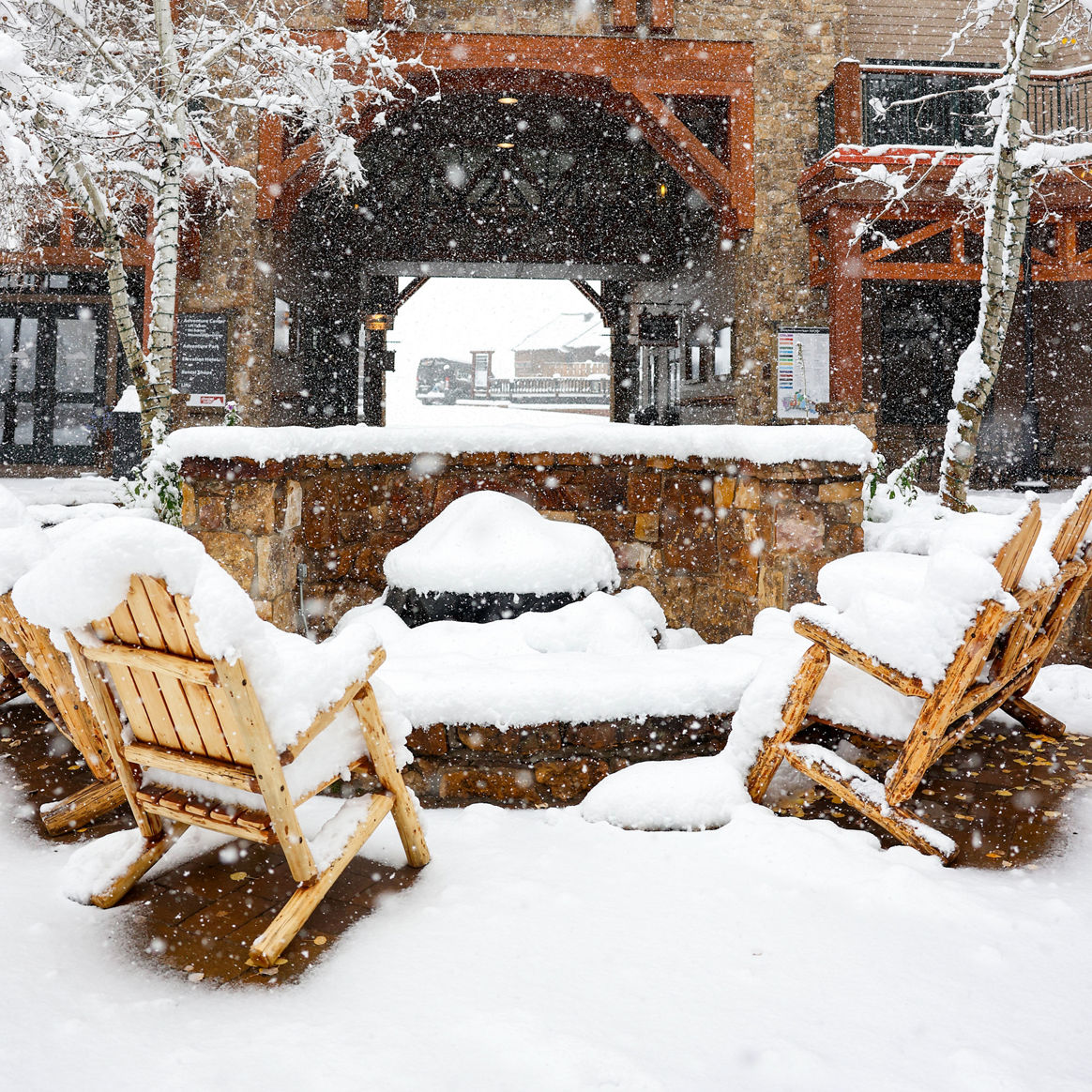 "19"" October snowstorm"