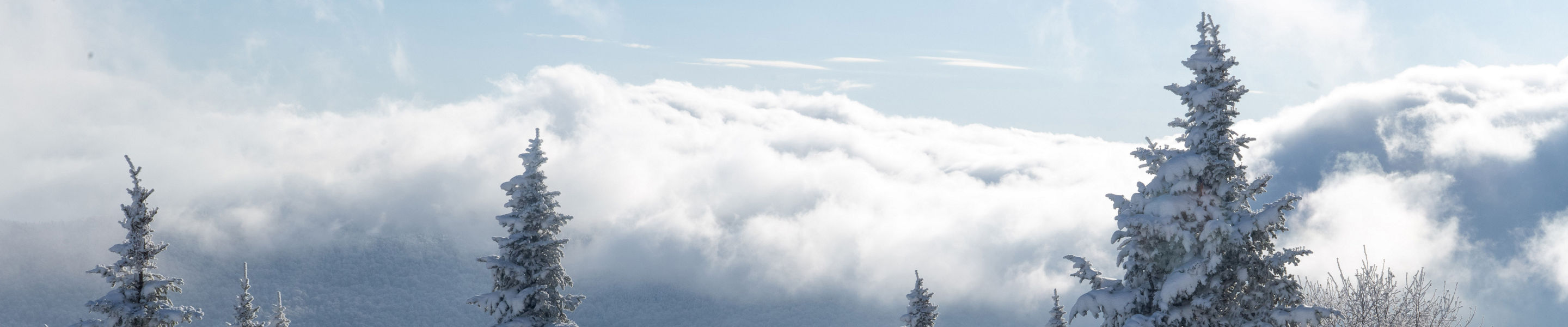 Snowy Winter Landscape at Stowe