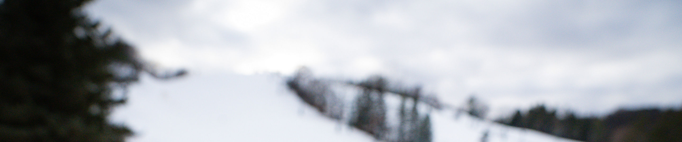 Burger and Fries at Afton Alps Paul's Pub