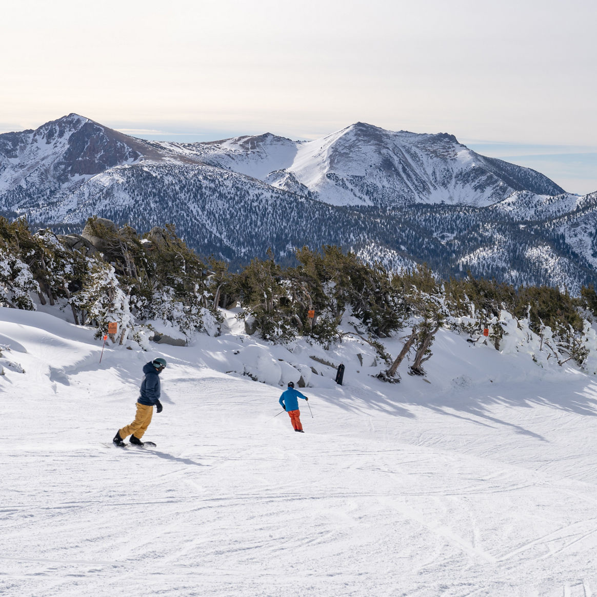 Upper Ridge Run Early Season