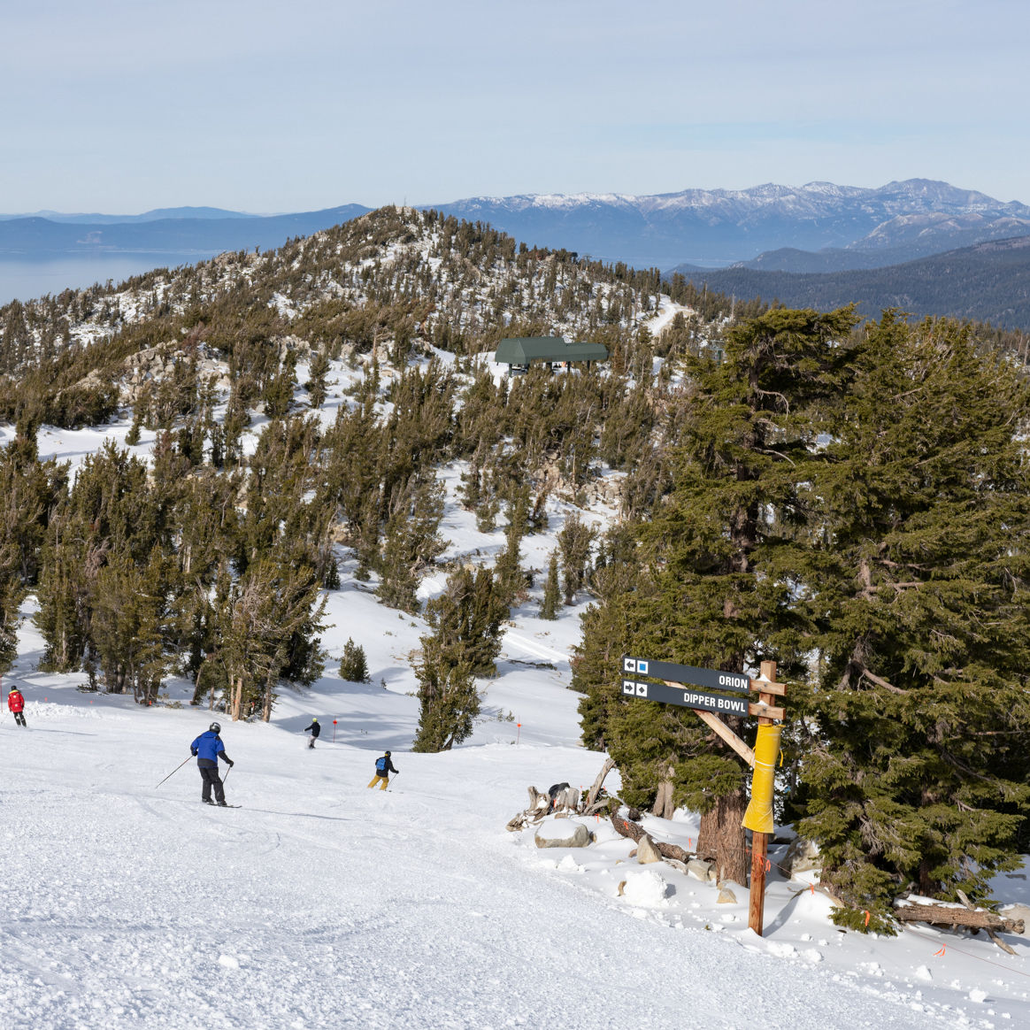 Orion Run Heavenly Early Season