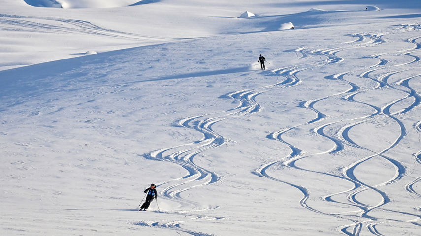 Whistler Heli-Skiing Participant Skis Down Advanced Terrain On a Bluebird Day Outside of Whistler Blackcomb