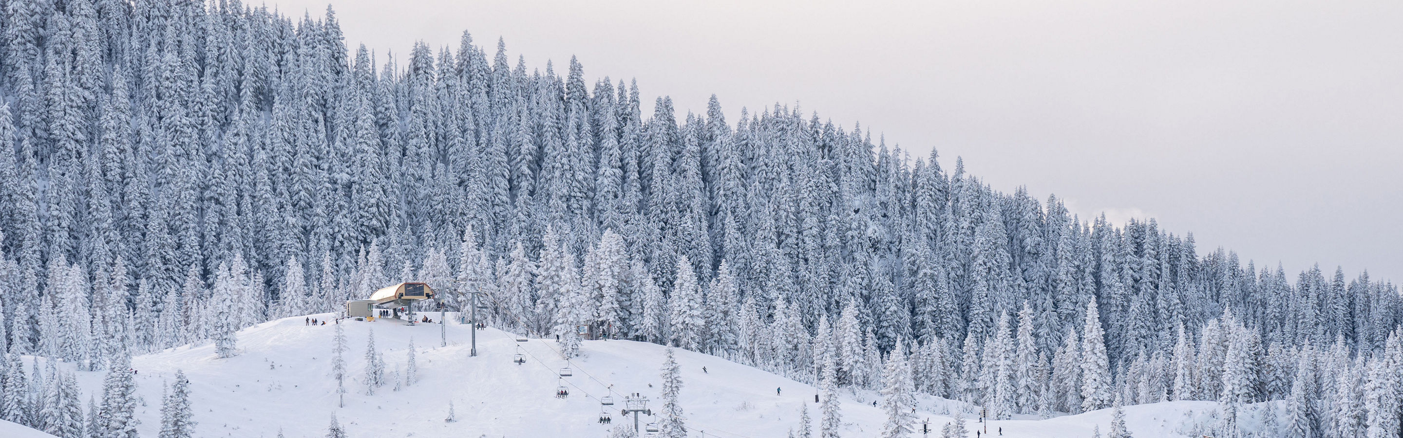 Winter Scenic Landscape at Stevens Pass