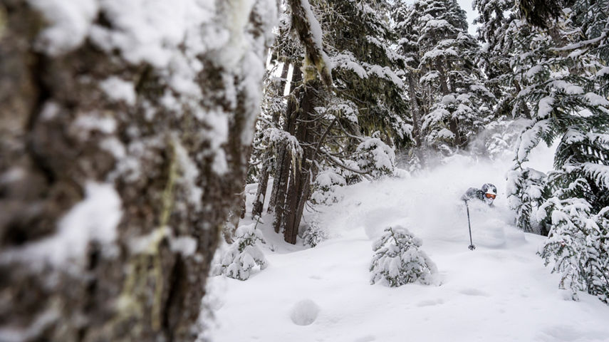 Skiing at Whistler Blackcomb