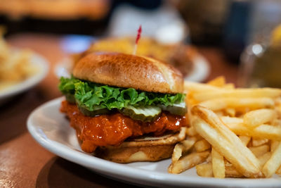 Chicken Sandwich and Fries at Crotched Onset Pub 