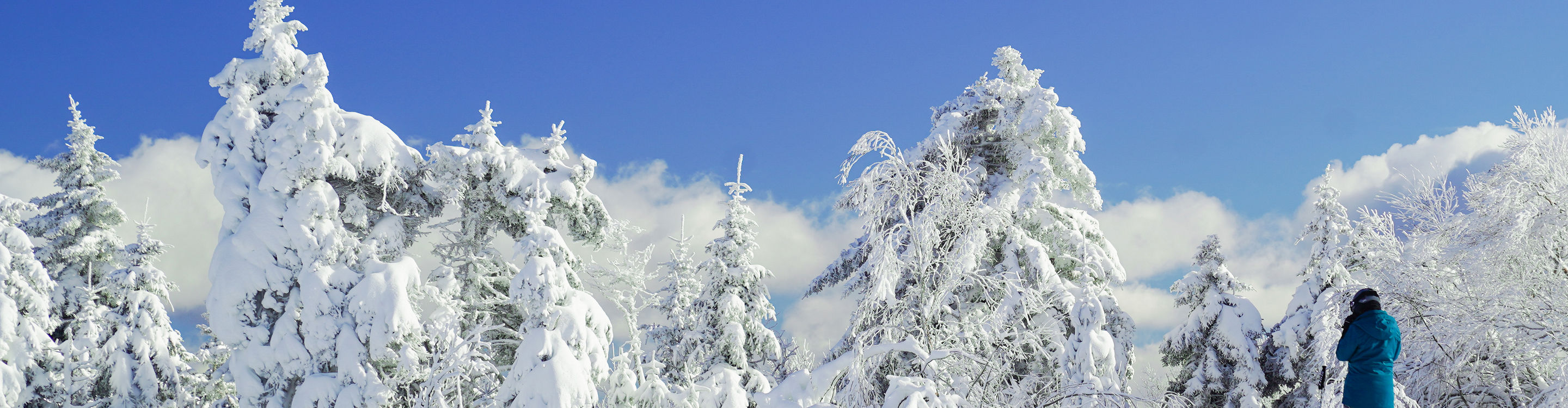Snowboarder Takes a Break on a Bluebird Day at Mount Sunapee