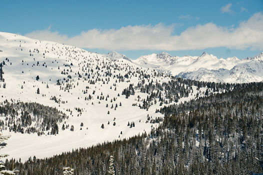 Scenic Winter Vail Landscape