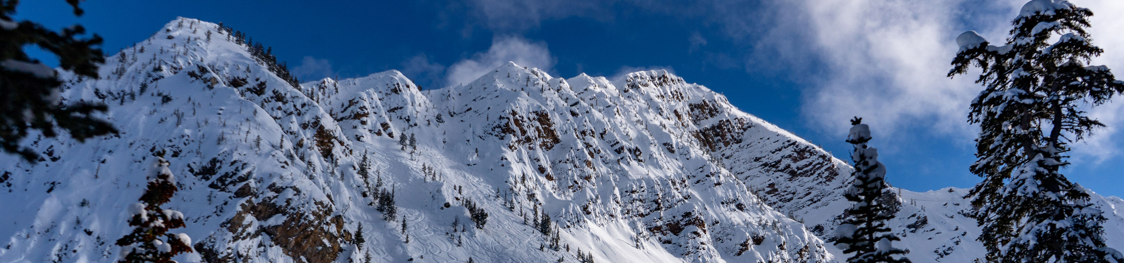 Winter Scenic Shot of Ski Runs at Kicking Horse British Columbia