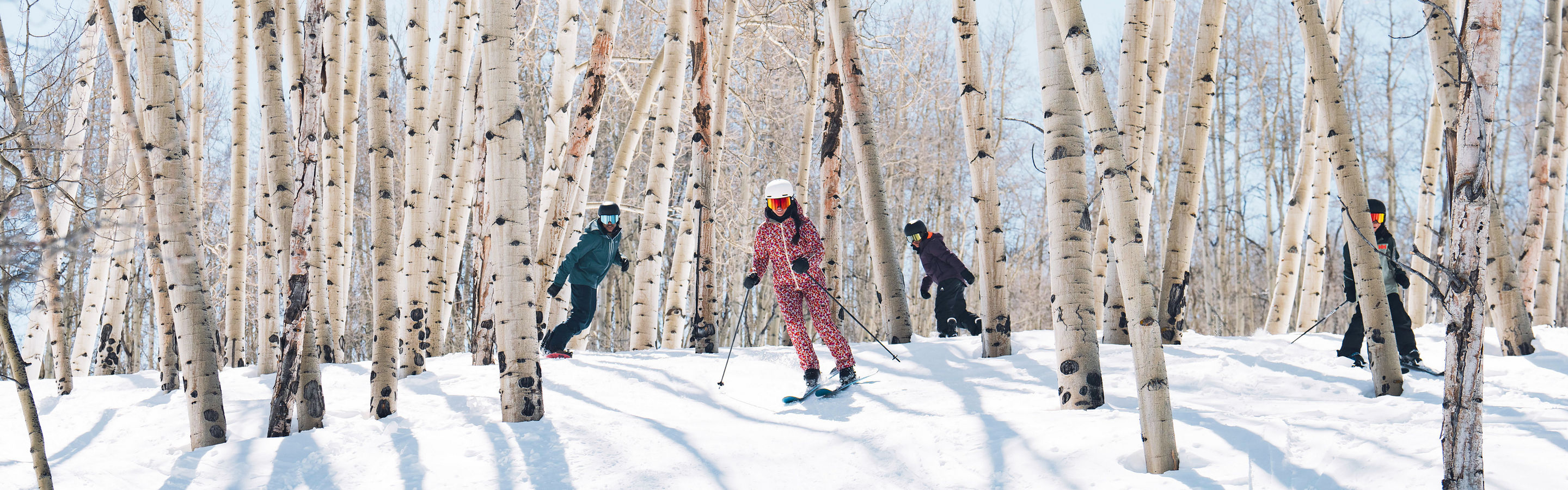 Family in McCoy Park's Aspen Groves? - Color Treated