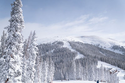 Bergman Bowl Seen from North Peak