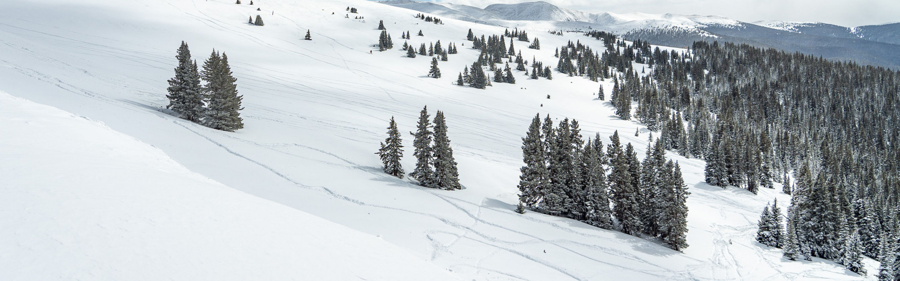 South Bowl in The Outback
