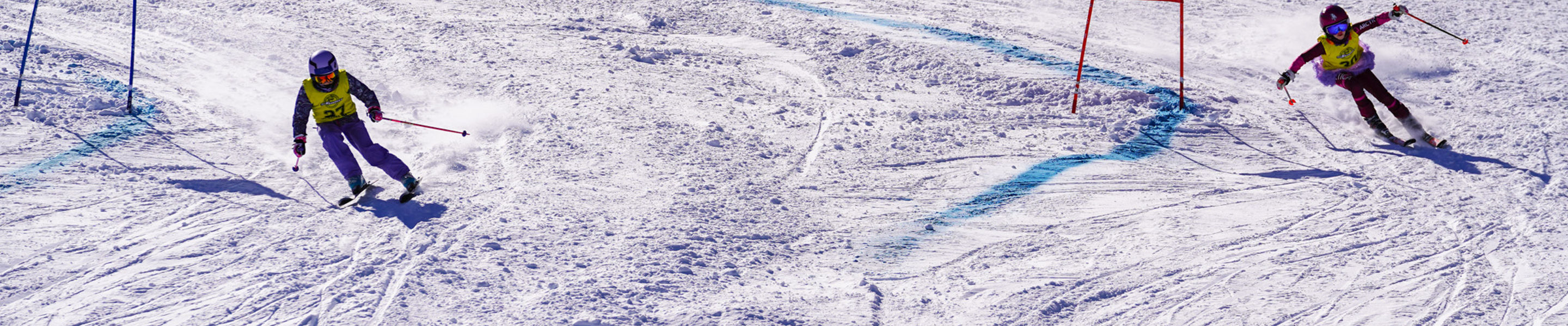 Mount Sunapee Alpine and Freestyle Program