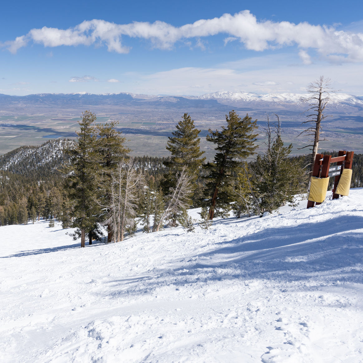 Stagecoach Bluebird Spring Day