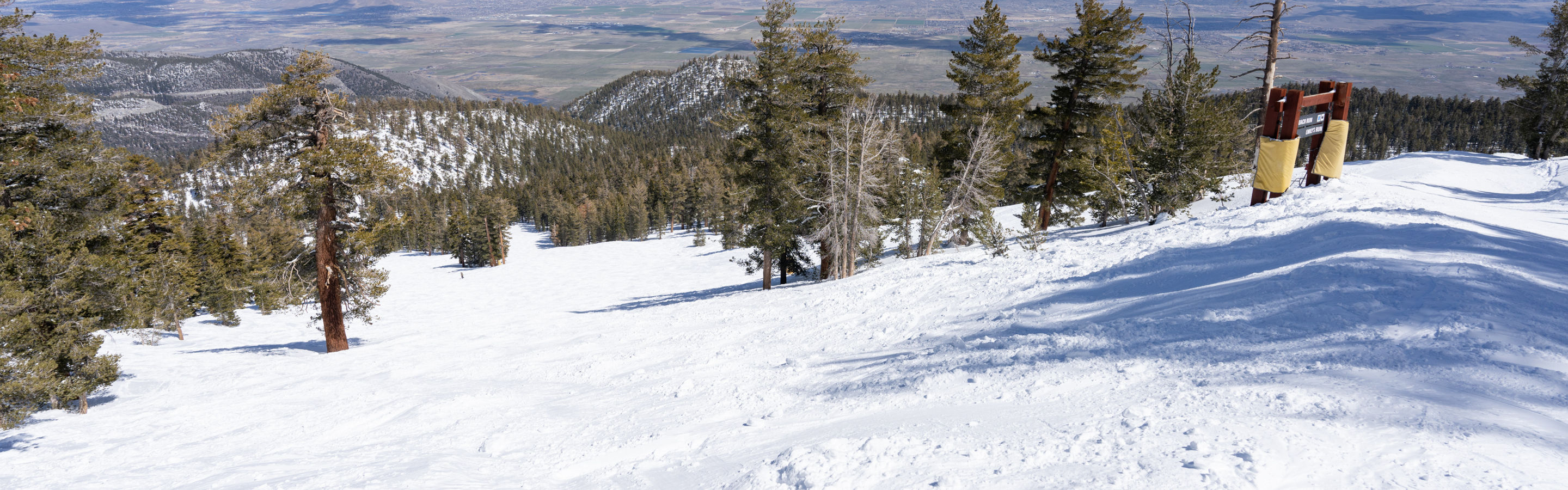 Stagecoach Bluebird Spring Day