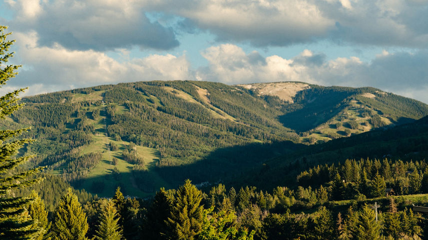Summer Aerial View of Beaver Creek Landscape