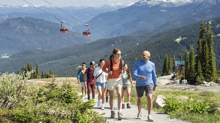 Group of Friends on a Summer Hike at Whistler Blackcomb