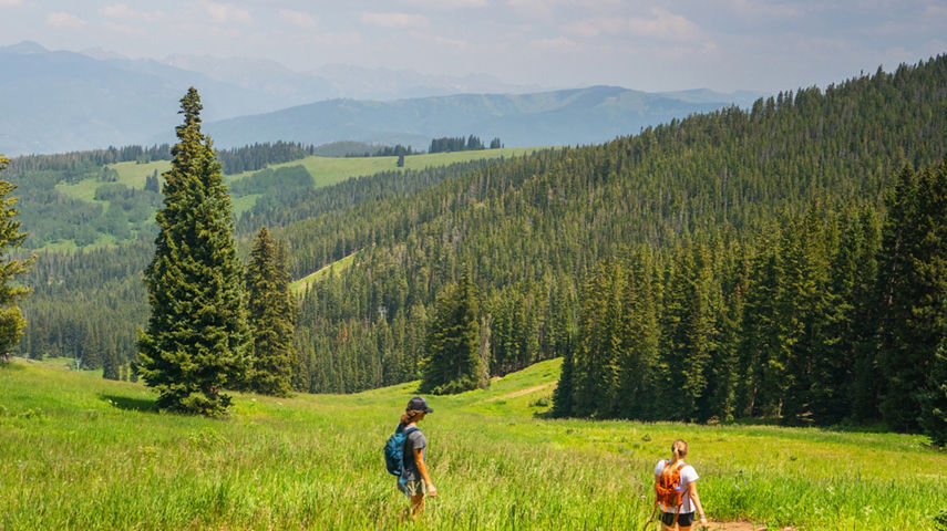 Friends on a Summer Hike at Beaver Creek