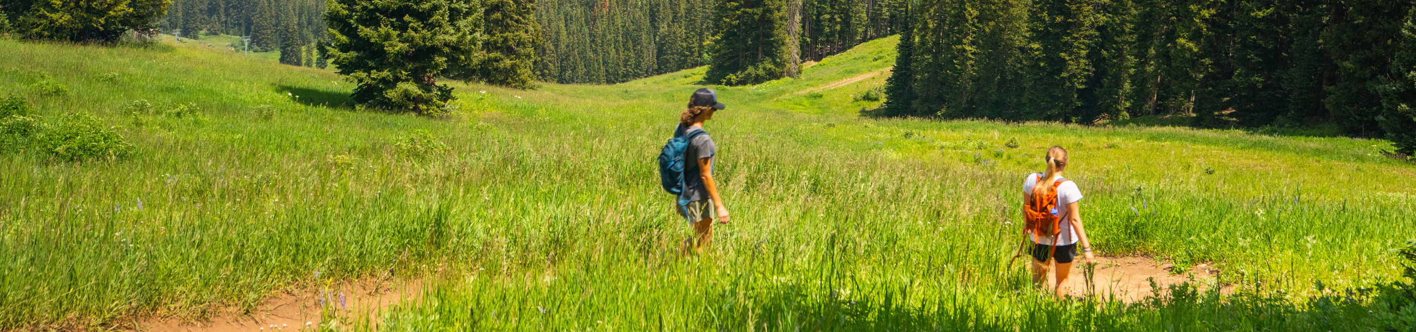 Friends on a Summer Hike at Beaver Creek