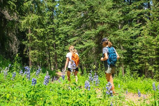 Resorts Guests Hiking at Beaver Creek