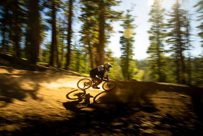 Summer Mountain Biking at Northstar