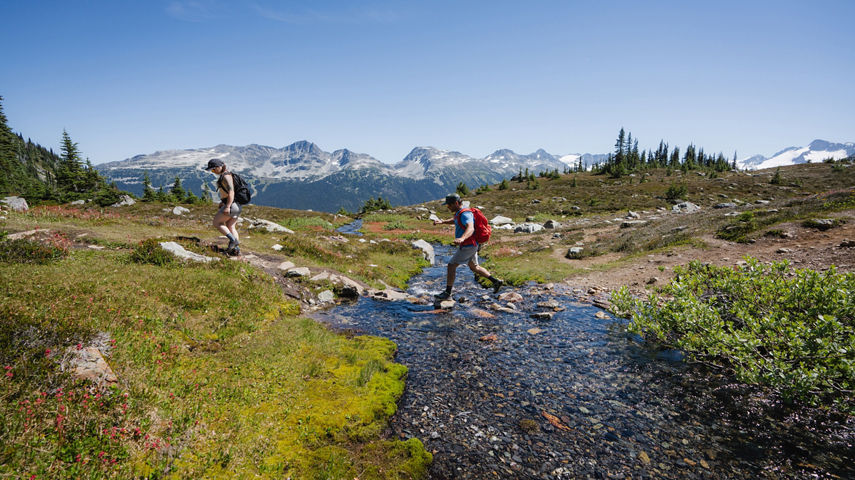 Couple Hiking High Note Trail at Whistler Blackcomb