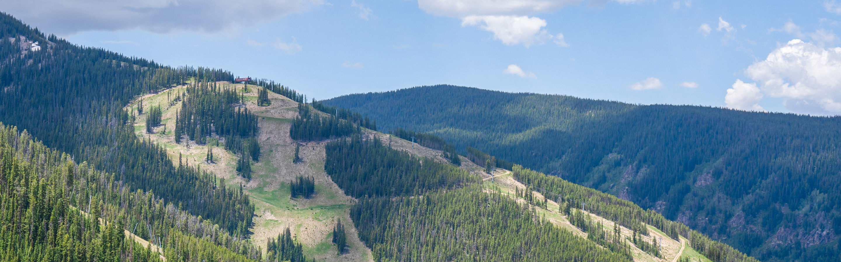 Summer Aerial View of Beaver Creek Landscape