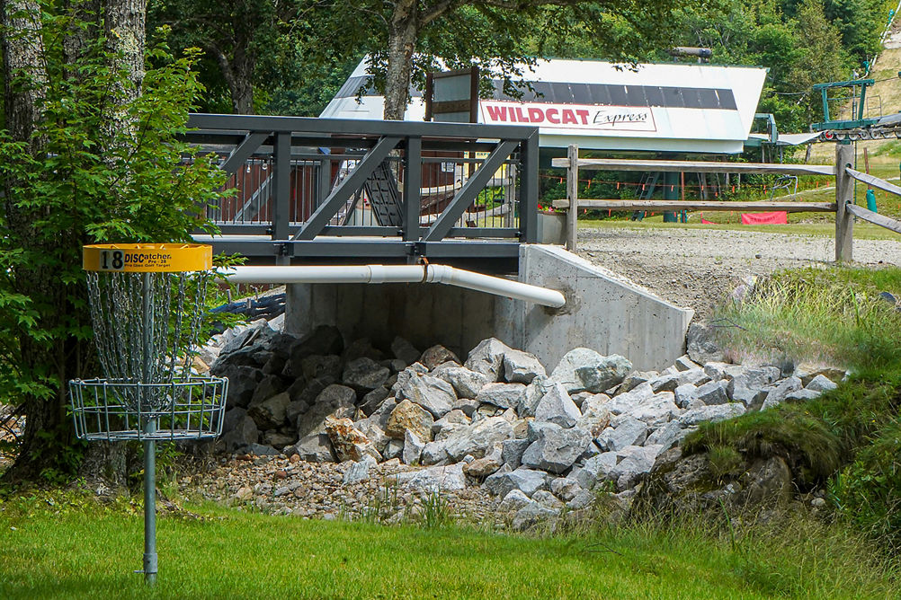 Disc Golf Chains at Wildcat
