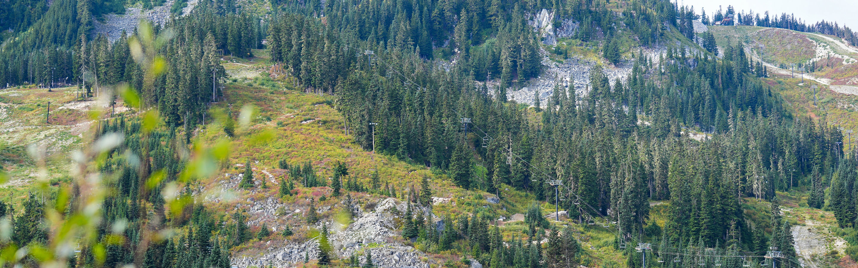 Stevens Pass Fall Foliage
