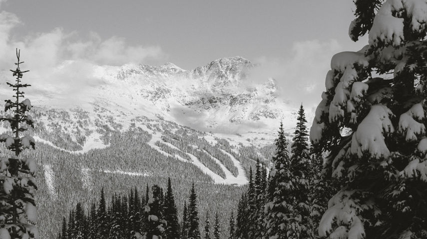 Early Morning Snow Covered Peaks at Whistler Blackcomb
