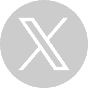 2024 Twitter / X Gray Icon