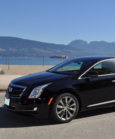 Pearl Limousine Luxury Sedan