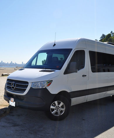 Pearl Limousine Mercedes Sprinter Van