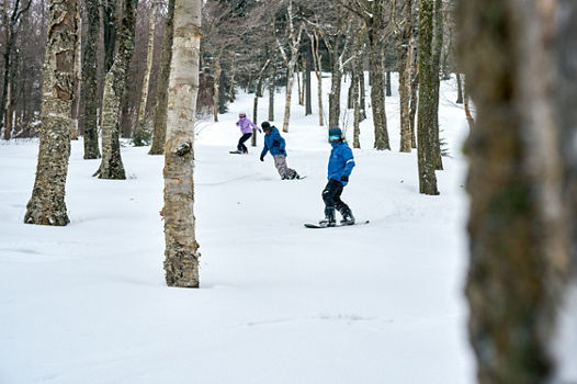 Adult Snowboard Lesson at Mount Sunapee