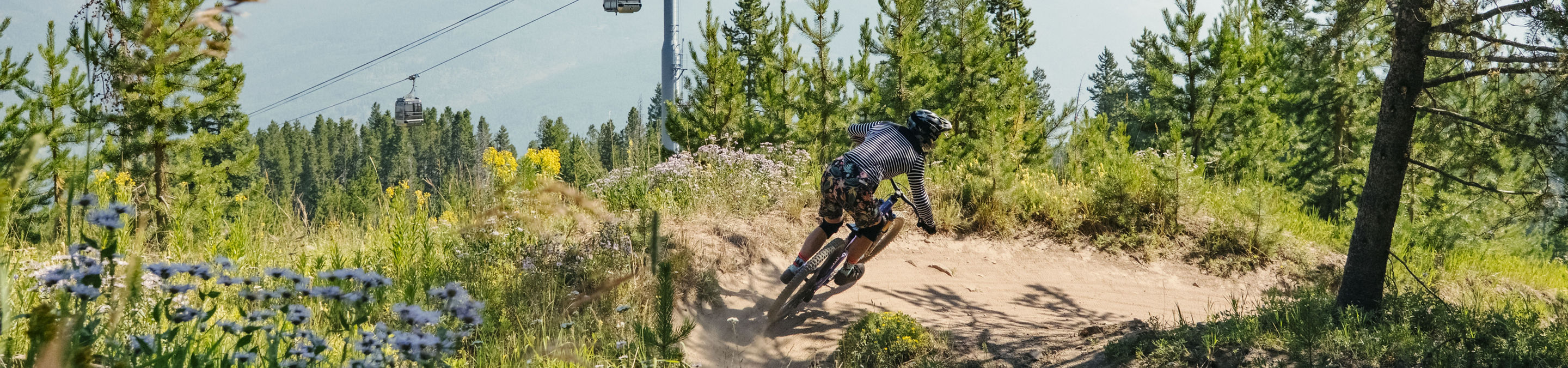 Mountain Biking at Vail