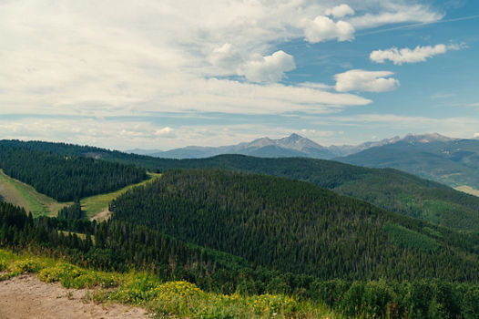 Summer Scenic Landscape at Vail