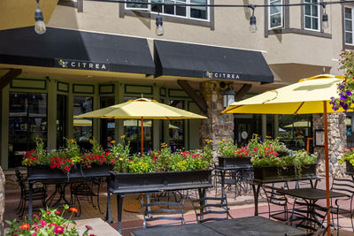 Summer Exterior of Beaver Creek Citrea