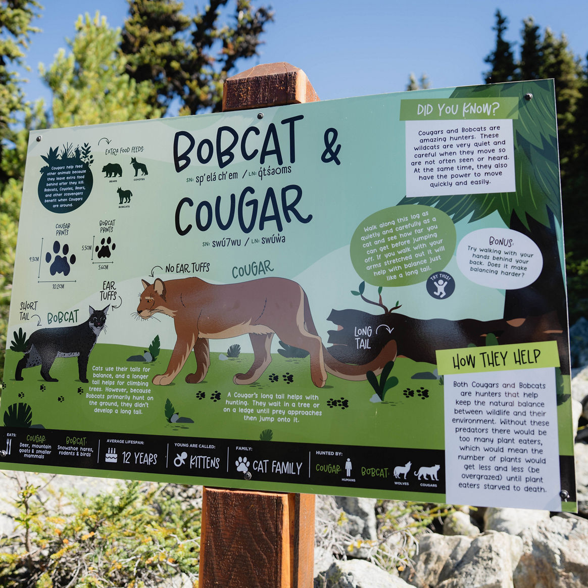 Wildlife Instructional Signage along Blackcomb Kids Adventure Trail