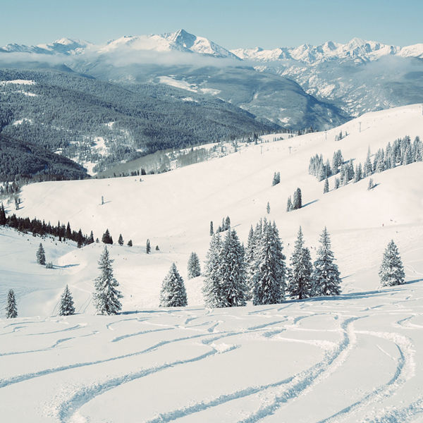 Wide Powder Field Beneath Alpine Peaks at Vail