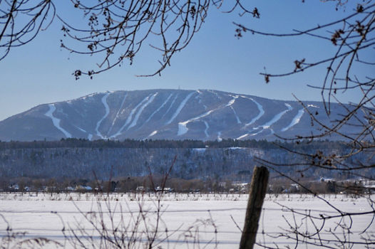 Scenic Winter Shot of at Mont Sainte Anne Landscape