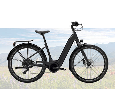 MEG FY27 DX Rental Bike Product Images