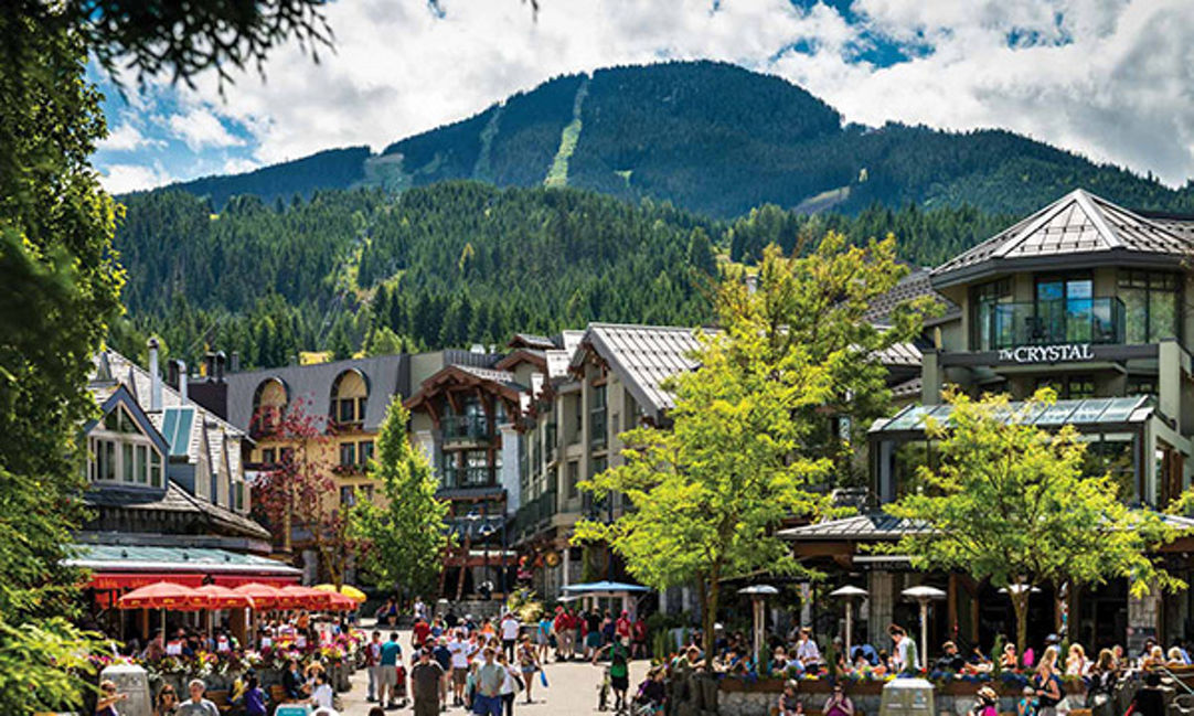 Whistler in Summer  Whistler Blackcomb