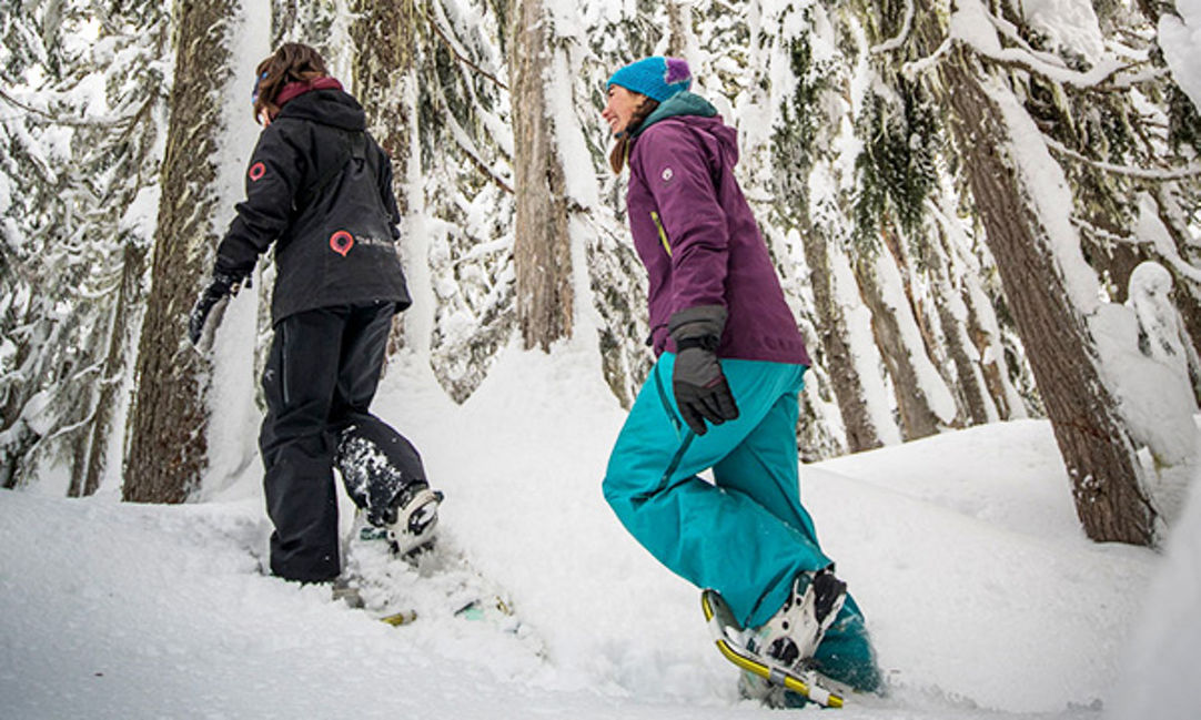 Whistler snowshoe outlet