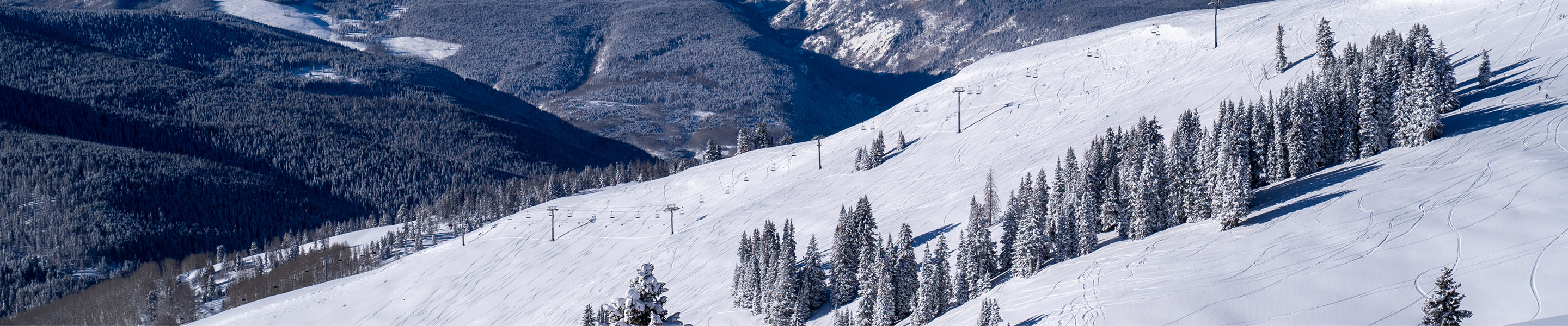 view of China Bowl Vail
