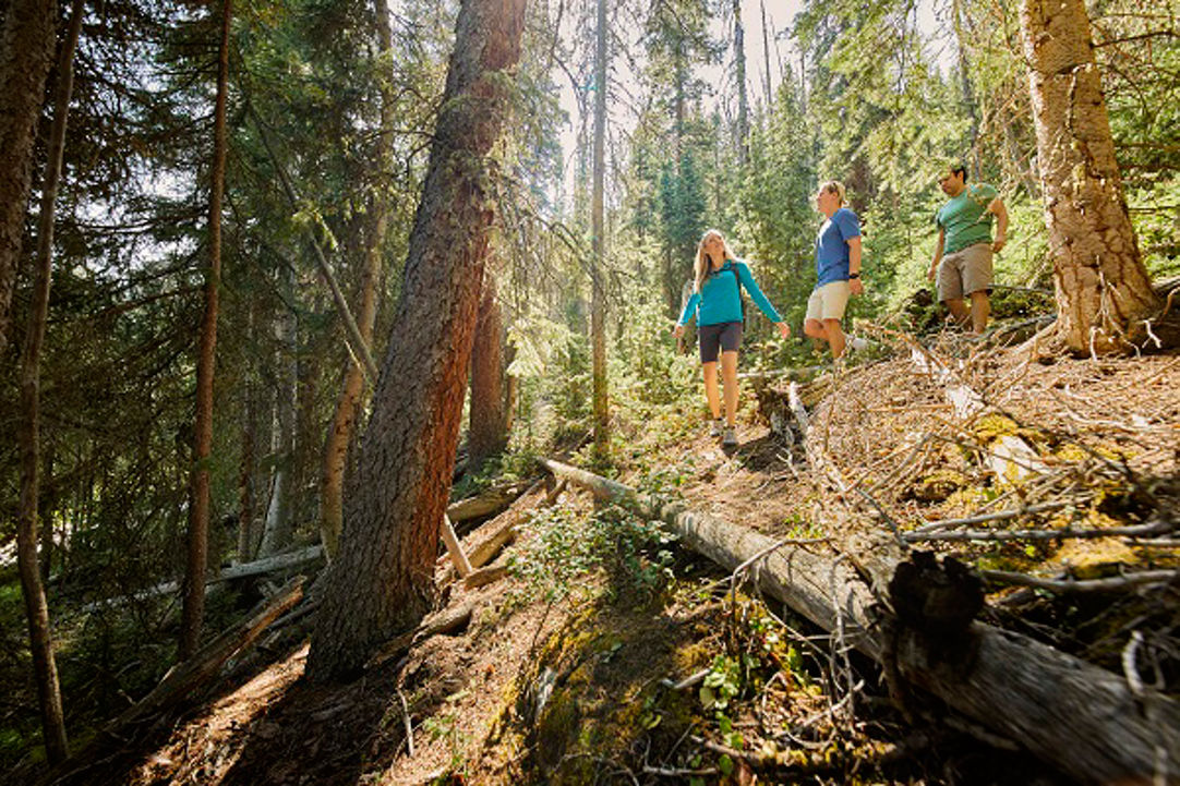 Keystone Hiking Trails and Maps