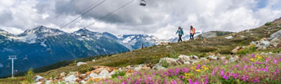 Whistler Blackcomb