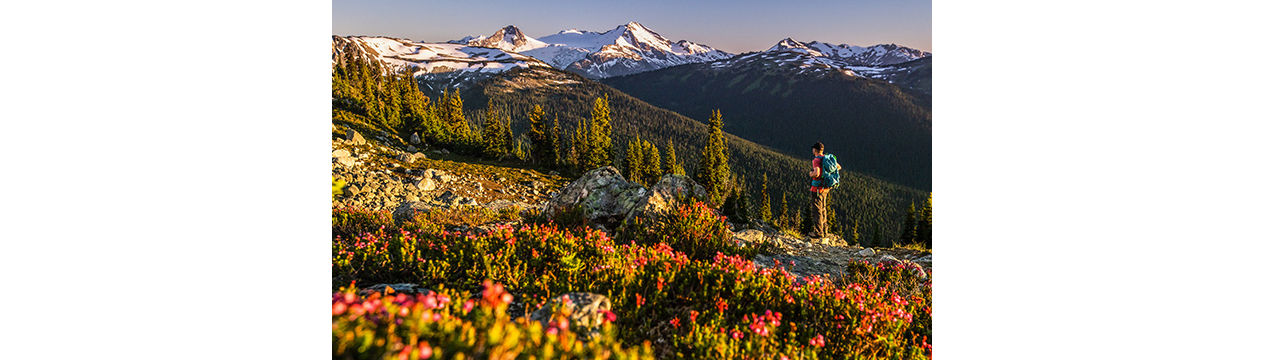 Whistler Blackcomb