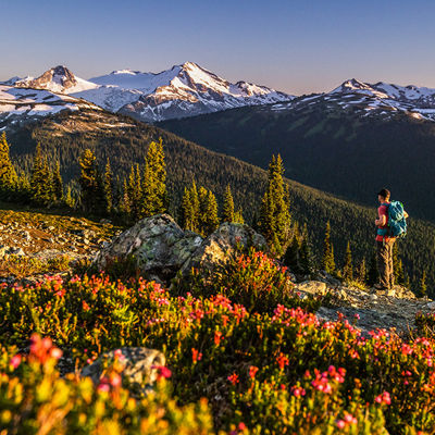 Whistler Blackcomb