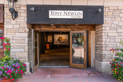 Tony Newlin Gallery