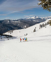 Group of Skiers at a Distance